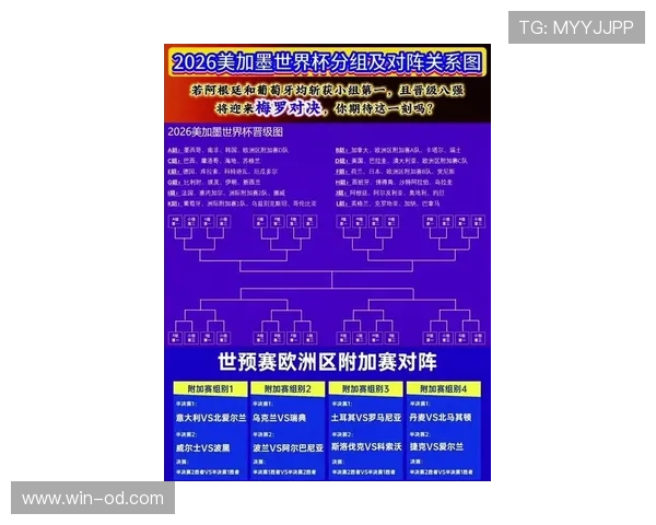 2026世界杯排名流程解析 2026世界杯排名流程解析